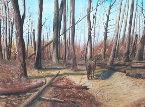 蕭莛譯 - 蠟筆風景 2014 蕭莛譯 - 蠟筆風景 2014