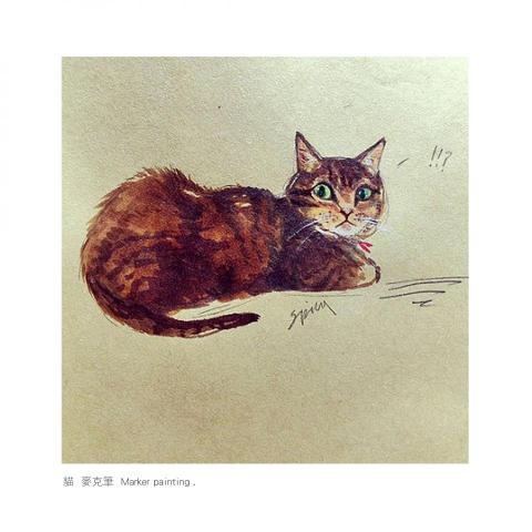 提供頭髮去背服務的專家LUNA個人工作室