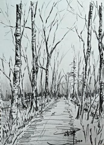 蕭莛譯 - 速寫 2020 蕭莛譯 - 速寫 2020