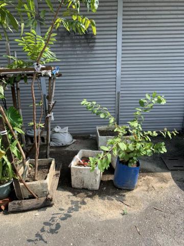 尚市都更聯合事務所 - 