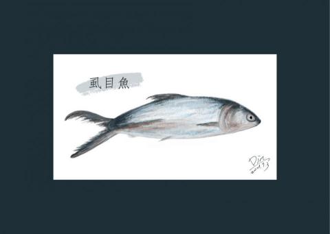 DDHOUSE - 特色卡片明信片001