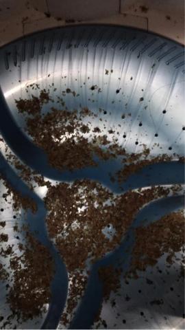 lrene專業私人管家 - 