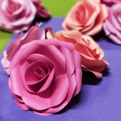 Olivia 斑馬老師 - 紙玫瑰---手作花 Olivia 斑馬老師 - 紙玫瑰---手作花