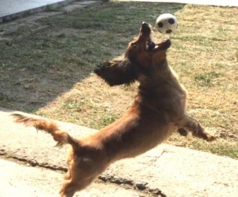 莫莫陪伴 - 公園裡玩的好開心