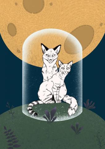 蔡閔宜 - 個人創作，屬於線條感的插畫作品