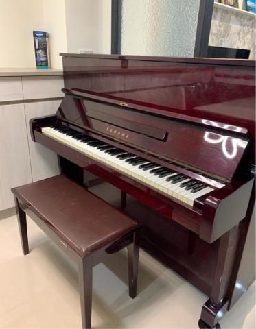 温温的音樂森林🌲 - 