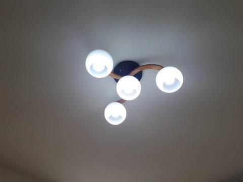 彭建龍 - 吸頂美術燈安裝