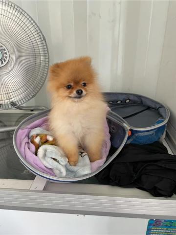 乙天水電工程 - 監工小弟