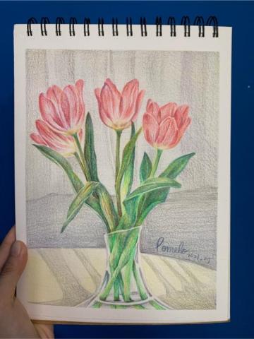 洪佑萱 - 色鉛筆