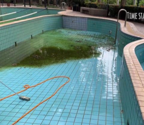 提供打蠟服務的專家舒立潔