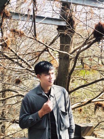 提供數學教學服務的專家牛哥文字組裝