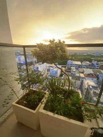 提供數學教學服務的專家David