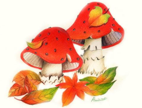 謝佩雯 - 手繪-色鉛筆插畫 謝佩雯 - 手繪-色鉛筆插畫