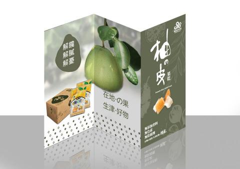 戰宇顧問工作室 - 產品DM設計