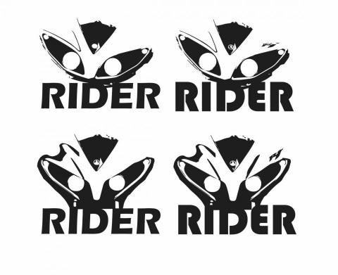 孟璇 - 車隊logo設計