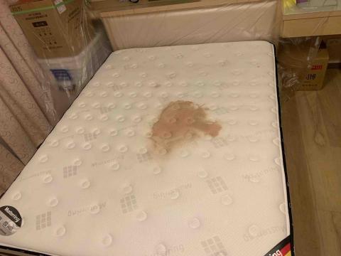 蟎-MAN 洗床墊洗沙發 - 清潔前