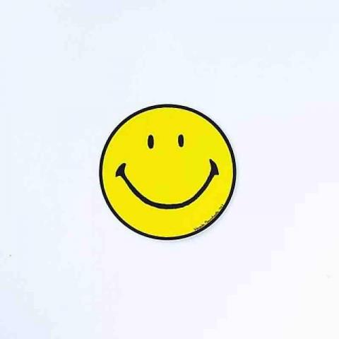 提供壁貼之家服務的專家Ting