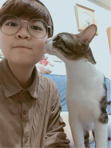 MiJie 貓貓保母 - 我與我家的貓貓