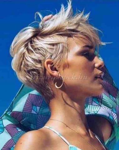 提供美髮服務的專家sunny hair 