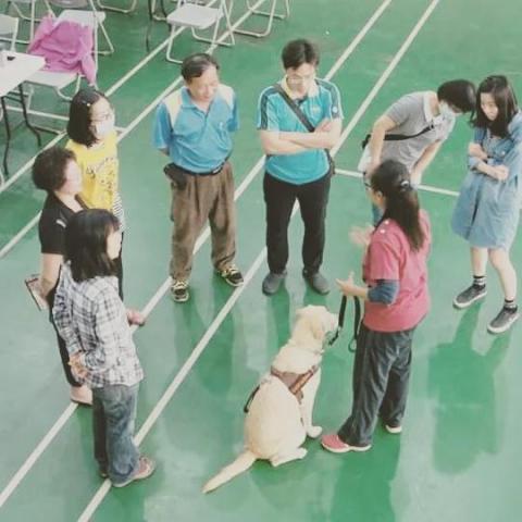 毛朋友生命工作室 - 學校研習活動