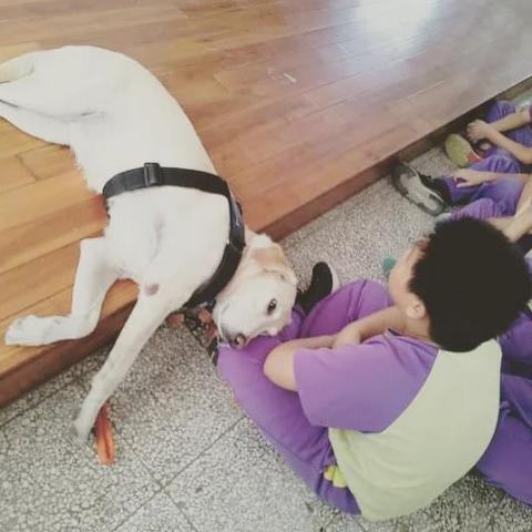 毛朋友生命工作室 - 生命宣導演講