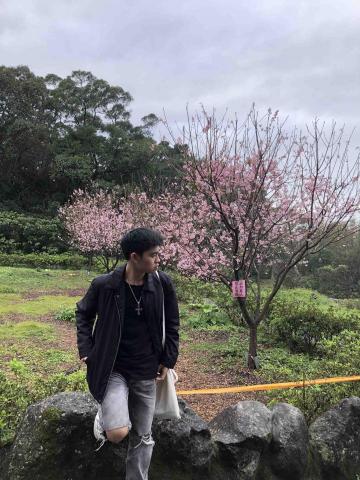 提供f50釘服務的專家王品淵