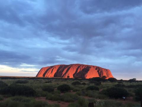 提供文件翻譯服務的專家David