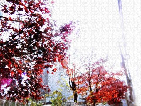 Lu,Zhi-Chin - 2018-影像編修作品 Lu,Zhi-Chin - 2018-影像編修作品