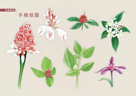 黑肉底插畫・設計工作室 - 