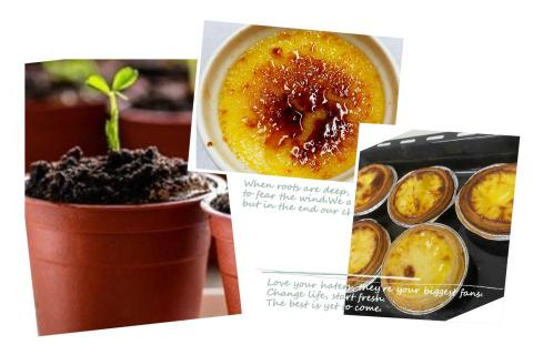 悠哉熊美食 - 提拉米蘇、烤布蕾、葡式蛋撻