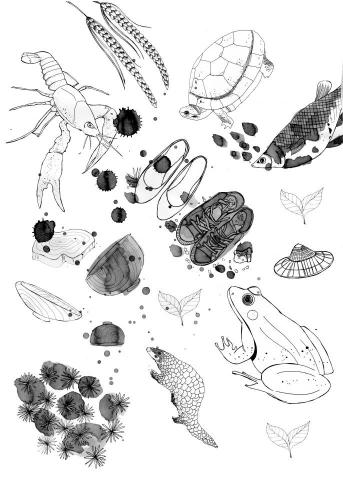 蔡孟庭 - 哩厚,八煙
手繪插畫設計2