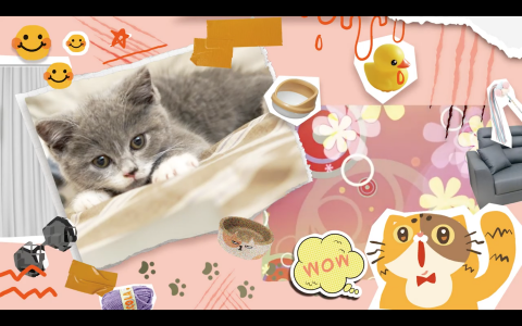 馬利亞工作室 - 剪貼風設計 馬利亞工作室 - 剪貼風設計