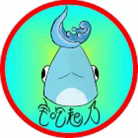 魚宅行銷企劃工作室 - 