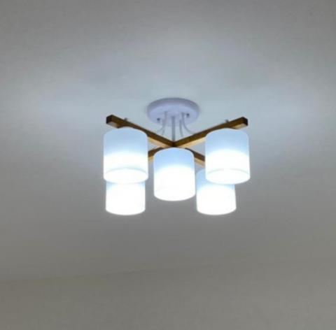 彭建龍 - 美術燈安裝