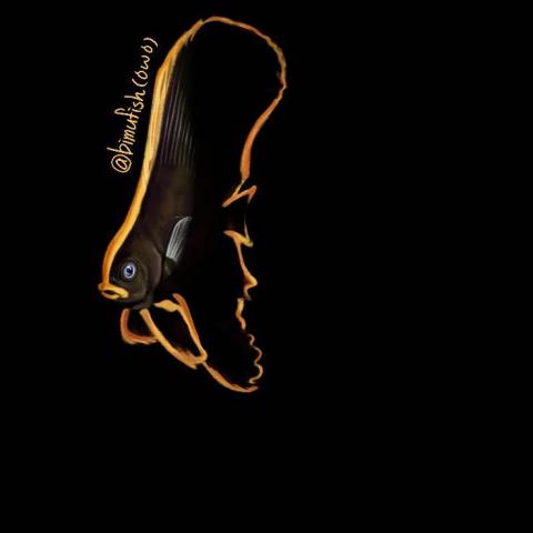 提供可愛插圖服務的專家曲昱玲