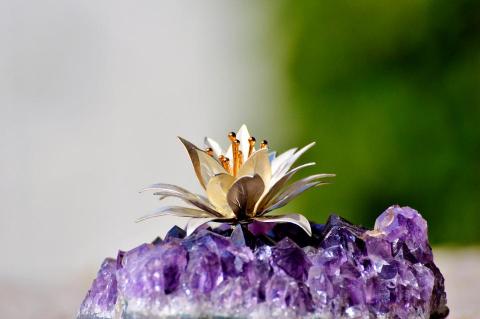 提供winter中文服務的專家吳宥娟