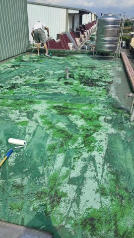 豪室美設計工程行 - 屋頂防水施作 