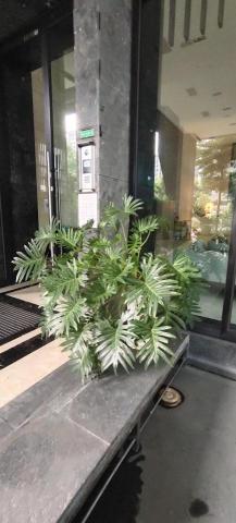 綠光工作室 - 門口一角植物造景