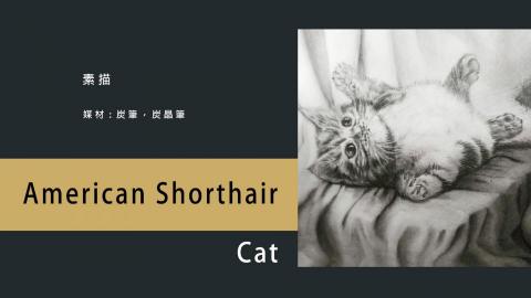 謝承杰 -  謝承杰 -