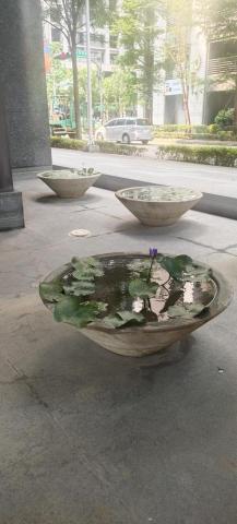 綠光工作室 - 荷花池清理改造