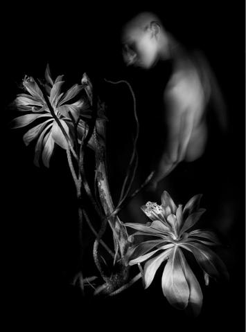 廖均文 - 藝術創作