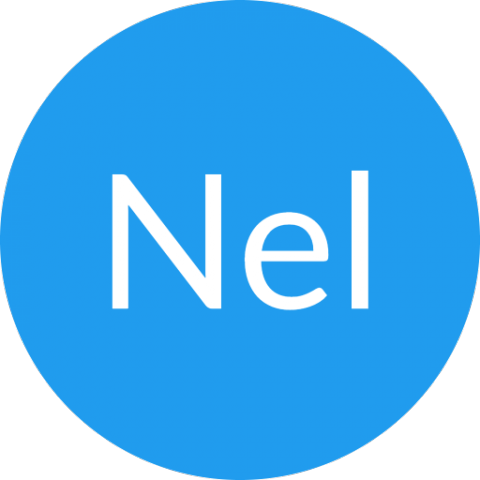 提供網頁製作百寶箱服務的專家Nelson 鍾