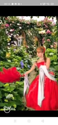 萊莉舞蹈網 - 電視表演歌舞