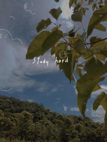 mina - 明信片(照片)編輯（範例1）