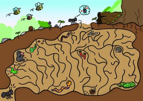 陳咸均 - 插圖設計
