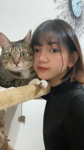 提供現金parttime服務的專家沈湘芸