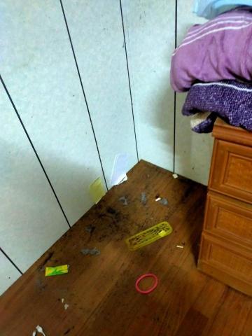 宜蘭雲姨 - 退租房間清潔中，地上很髒灰塵球蟑螂屎蟑螂蛋很多黏在牆壁上的黑色線條裡