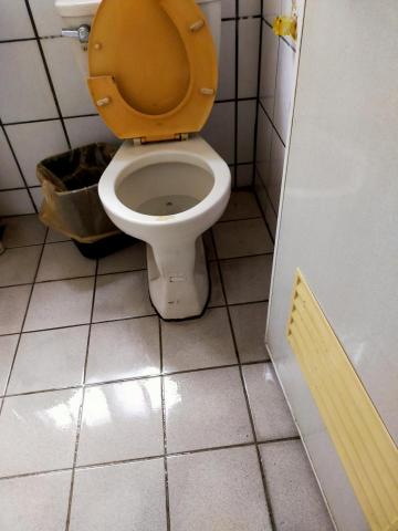 宜蘭雲姨 - 馬桶廁所清潔後