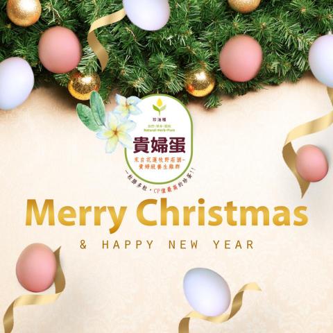 蘇晨慧 - 珍油種-貴婦蛋聖誕節Banner設計