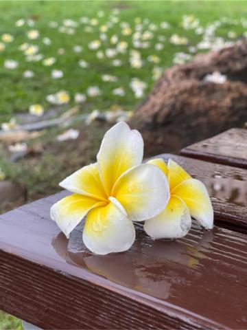 Kanova Studios 卡諾瓦工作室 - 攝影作品